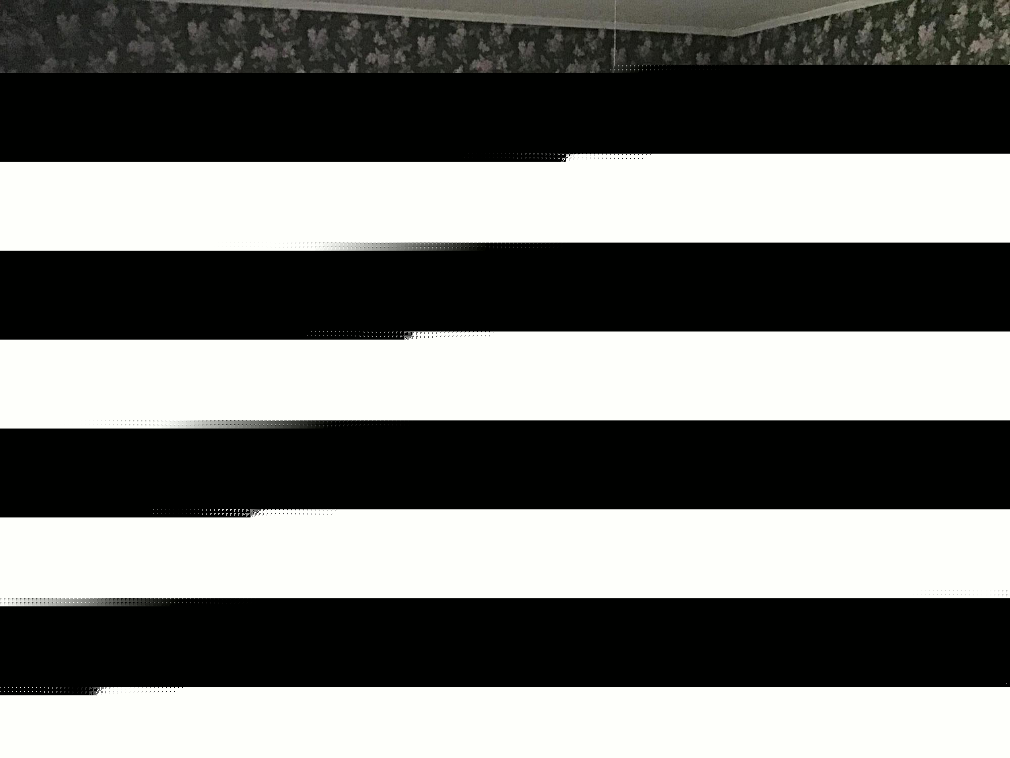 438 Rogers Point Road Steuben, ME 04680 - Photo 7 of 21 IMG_5751