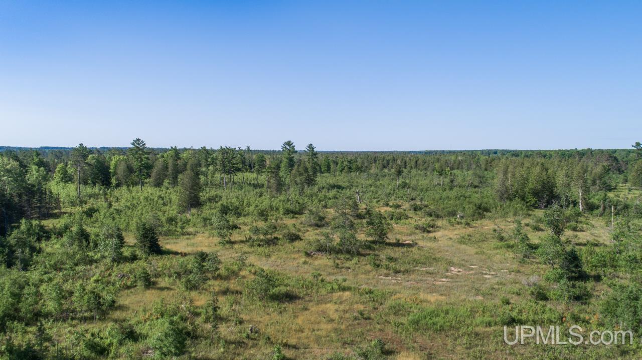 Tbd 80-acres 30th Road Rapid River, MI 49878 - Photo 5 of 17