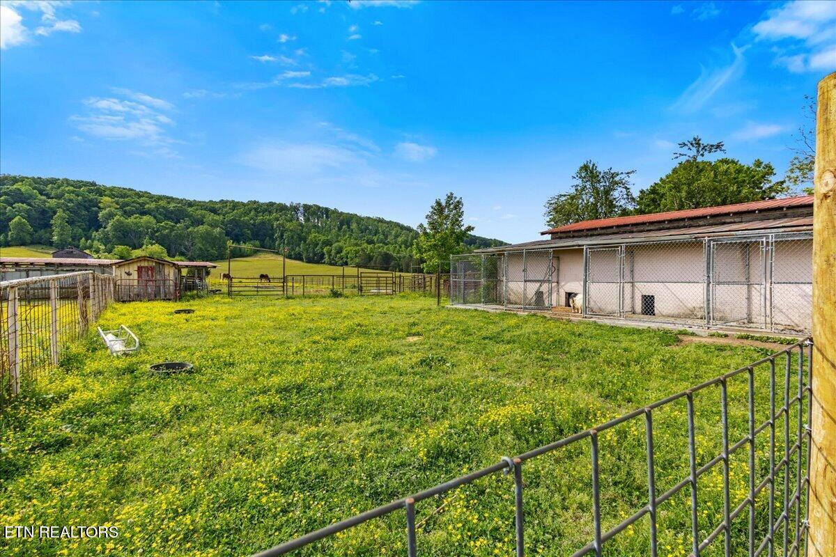 1245 Paint Rock Valley Road Philadelphia, TN 37846 - Photo 12 of 60 17-1245 Rock Valley Rd-3