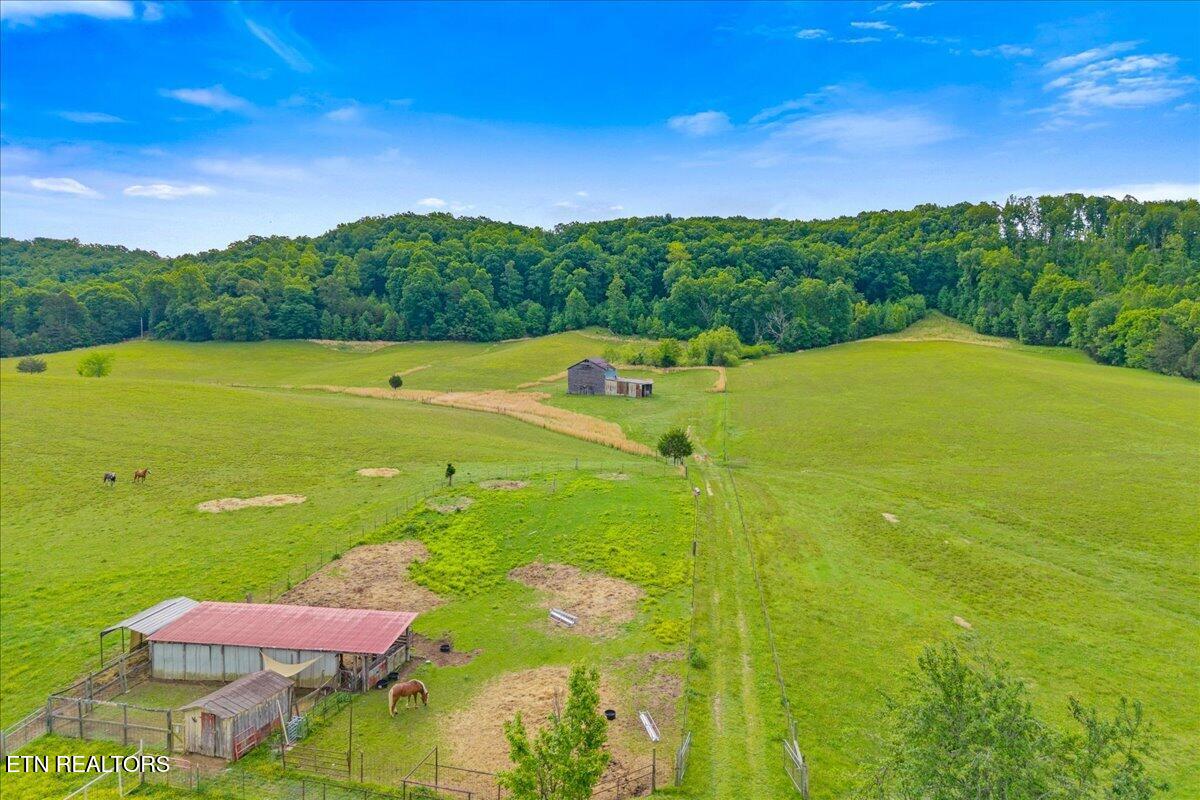 1245 Paint Rock Valley Road Philadelphia, TN 37846 - Photo 14 of 60 19-1245 Rock Valley Rd-56