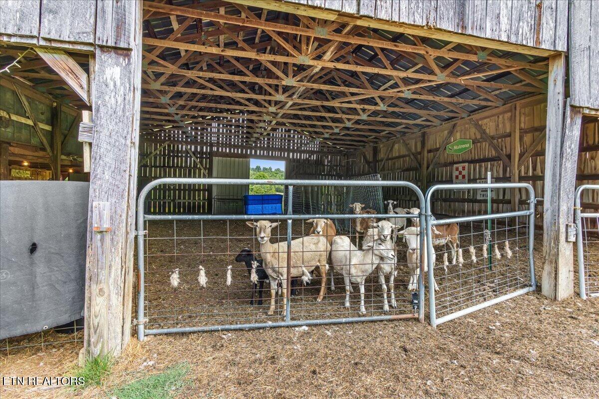1245 Paint Rock Valley Road Philadelphia, TN 37846 - Photo 16 of 60 21-1245 Rock Valley Rd-9