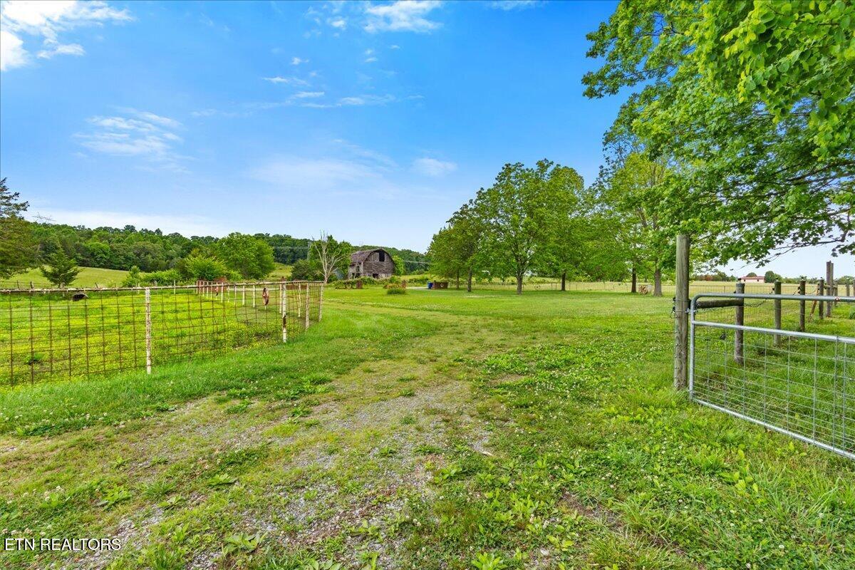 1245 Paint Rock Valley Road Philadelphia, TN 37846 - Photo 26 of 60 32-1245 Rock Valley Rd-15