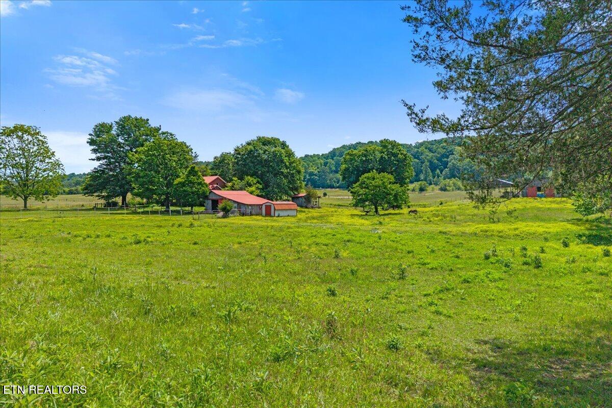 1245 Paint Rock Valley Road Philadelphia, TN 37846 - Photo 4 of 60 08-1245 Rock Valley Rd-97