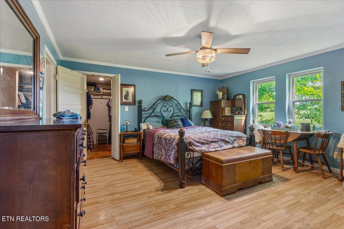 1245 Paint Rock Valley Road Philadelphia, TN 37846 - Photo 47 of 60 59-1245 Rock Valley Rd-28