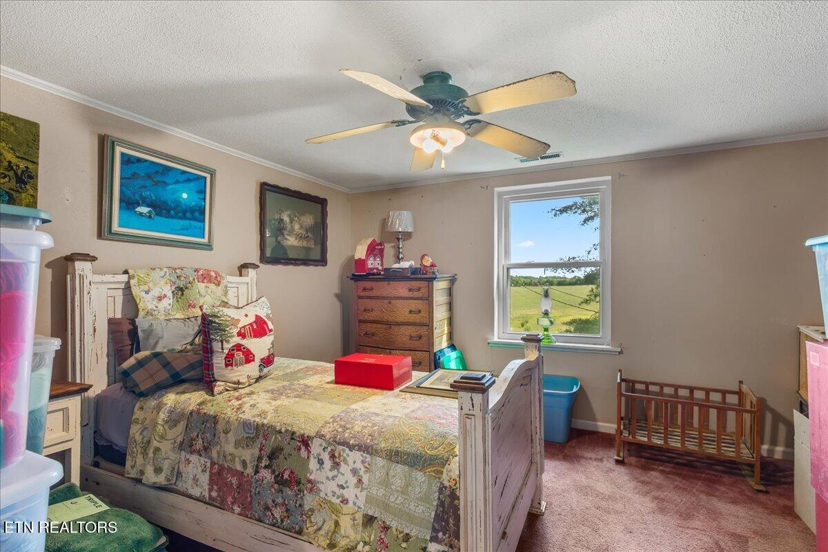 1245 Paint Rock Valley Road Philadelphia, TN 37846 - Photo 49 of 60 61-1245 Rock Valley Rd-30
