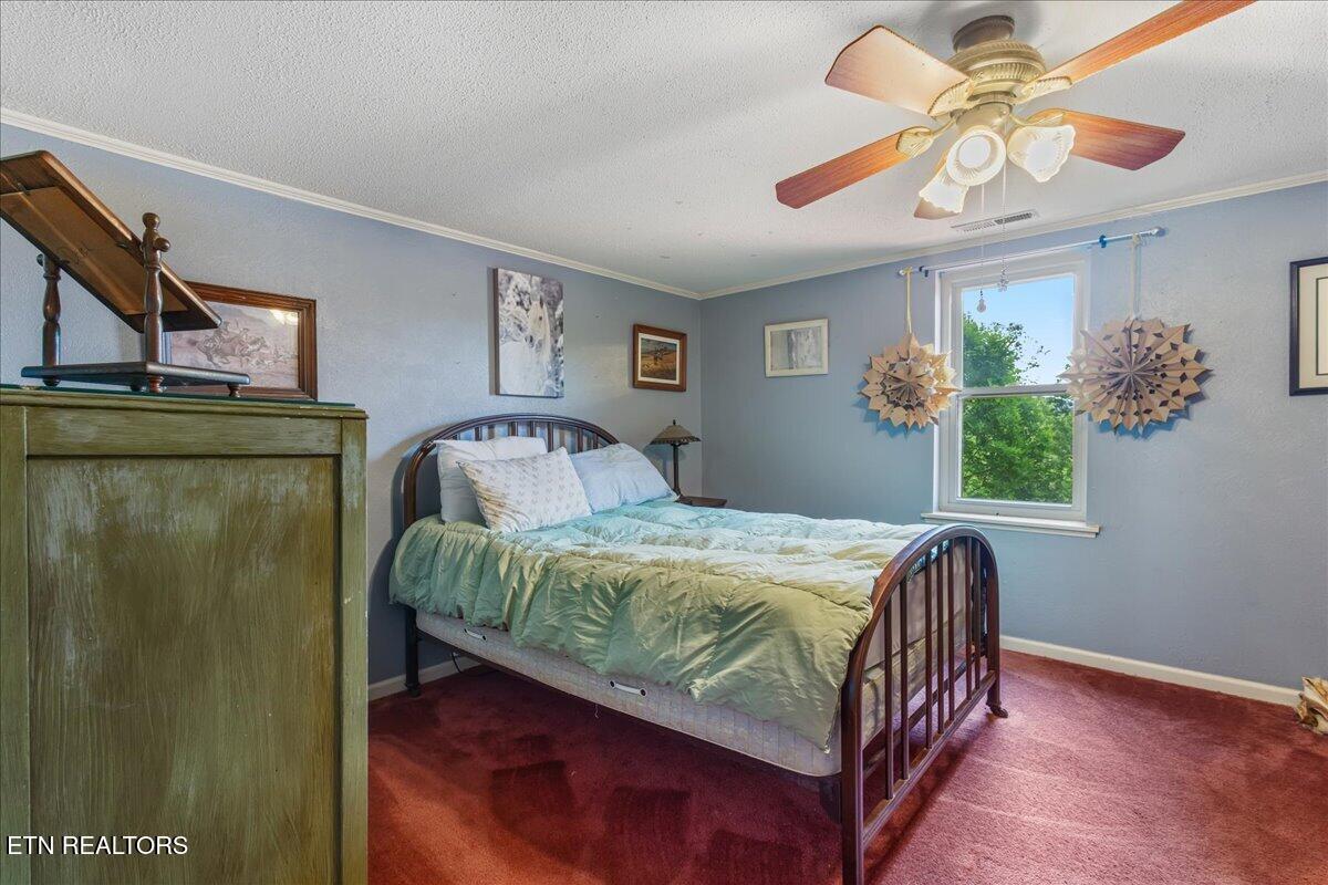 1245 Paint Rock Valley Road Philadelphia, TN 37846 - Photo 50 of 60 63-1245 Rock Valley Rd-32