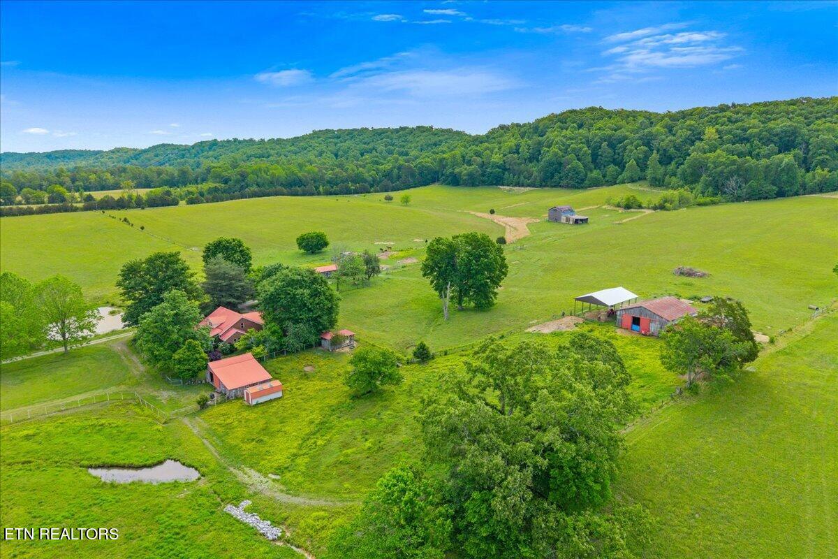 1245 Paint Rock Valley Road Philadelphia, TN 37846 - Photo 6 of 60 10-1245 Rock Valley Rd-63