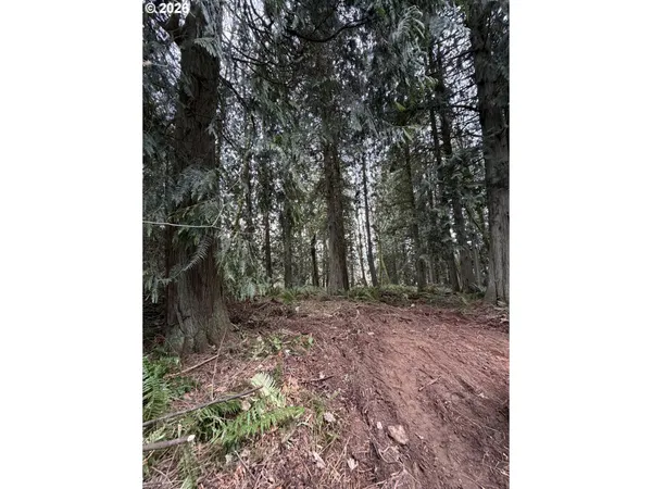 $200,000 | Meserve Road, Rainier, OR 97048