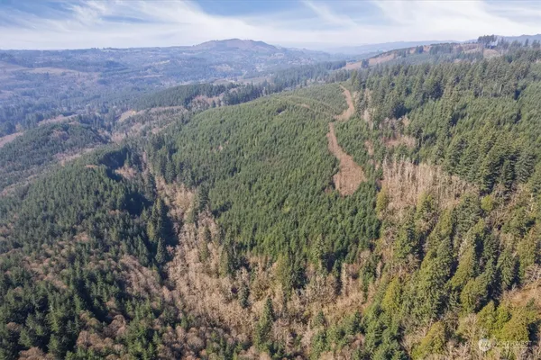 $709,000 | 0 Northeast Cedar Mist Road, Amboy, WA 98601