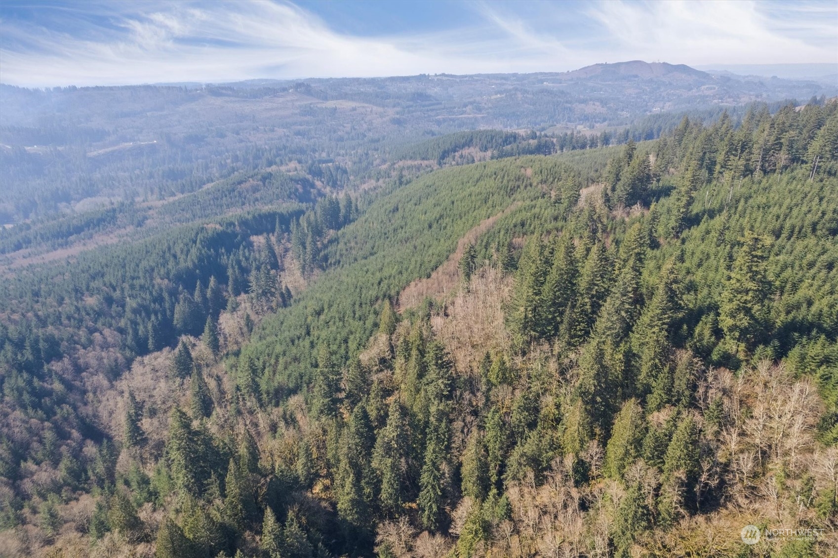 0 Northeast Cedar Mist Road Amboy, WA 98601 - Photo 12 of 17