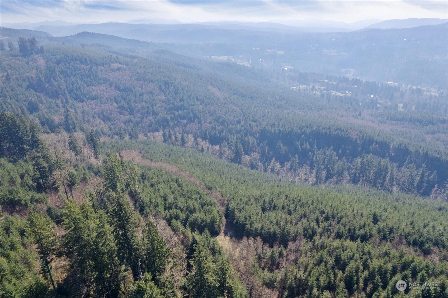 0 Northeast Cedar Mist Road Amboy, WA 98601 - Photo 13 of 17