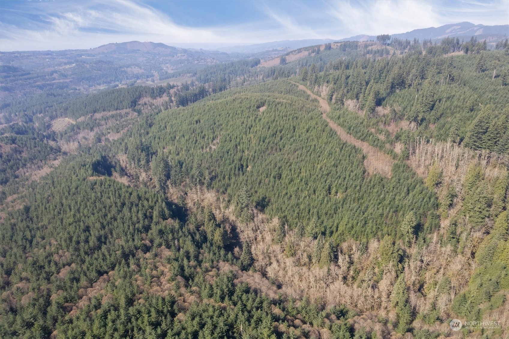 0 Northeast Cedar Mist Road Amboy, WA 98601 - Photo 14 of 17