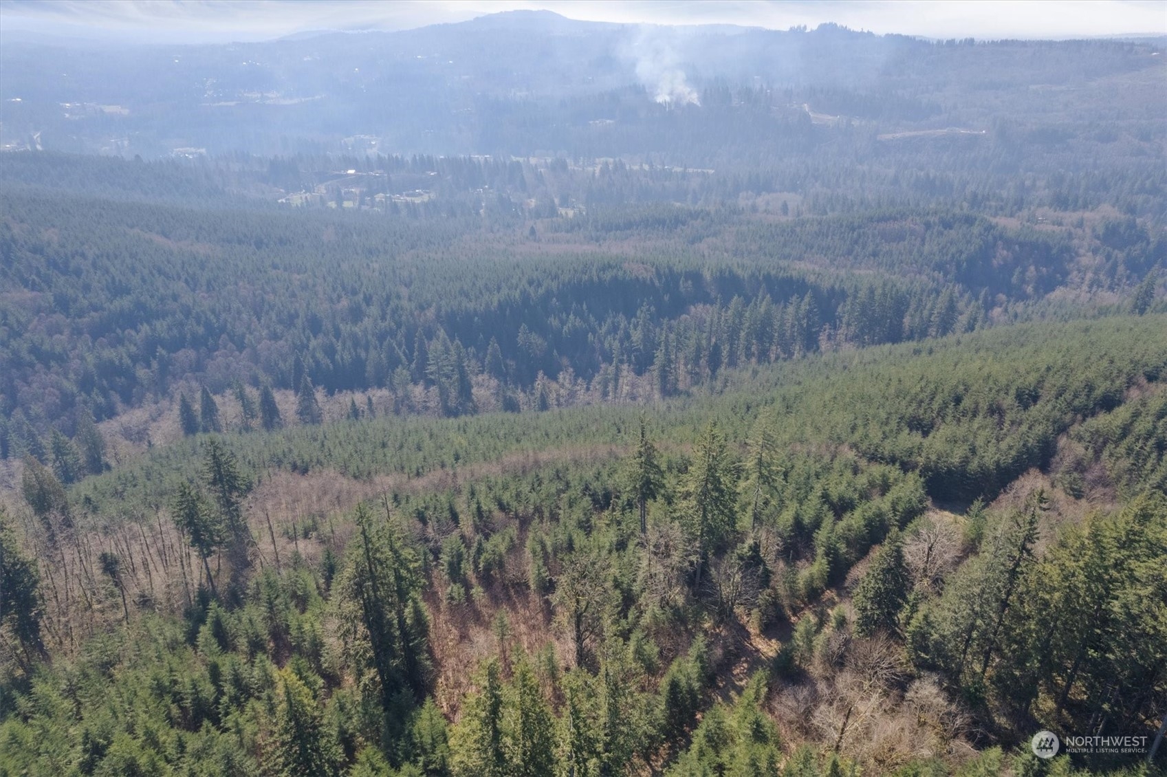 0 Northeast Cedar Mist Road Amboy, WA 98601 - Photo 15 of 17