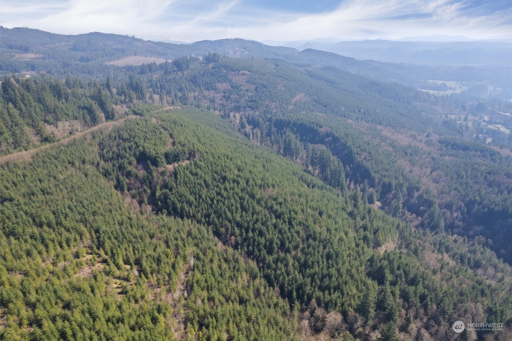 0 Northeast Cedar Mist Road Amboy, WA 98601 - Photo 16 of 17