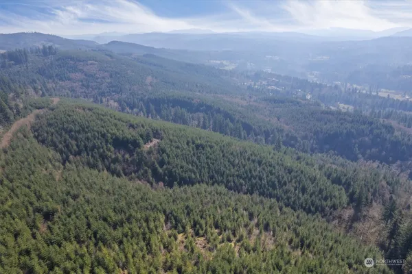 $709,000 | 0 Northeast Cedar Mist Road, Amboy, WA 98601
