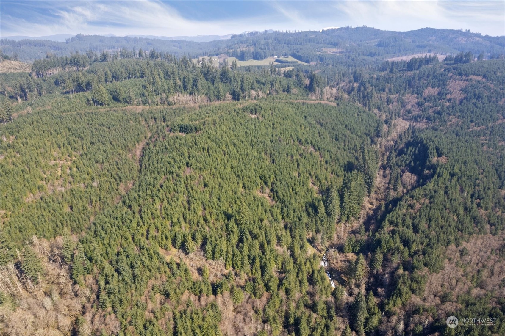 0 Northeast Cedar Mist Road Amboy, WA 98601 - Photo 3 of 17