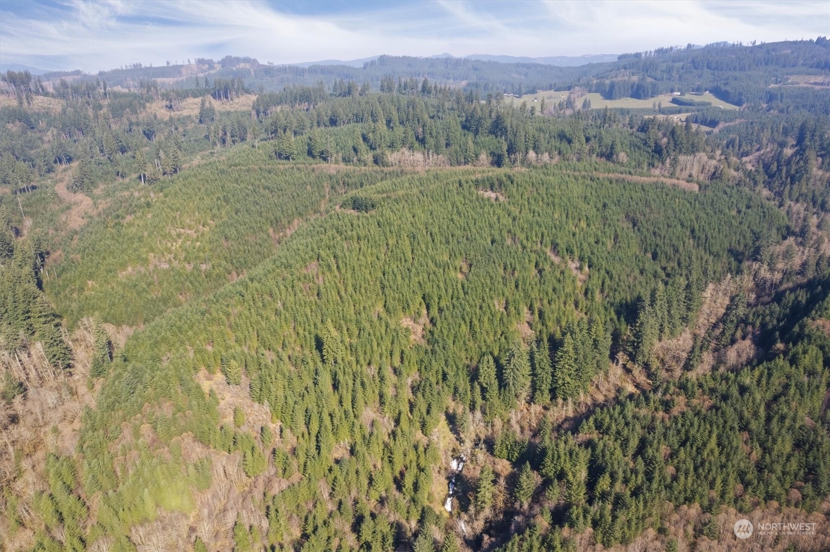 0 Northeast Cedar Mist Road Amboy, WA 98601 - Photo 4 of 17