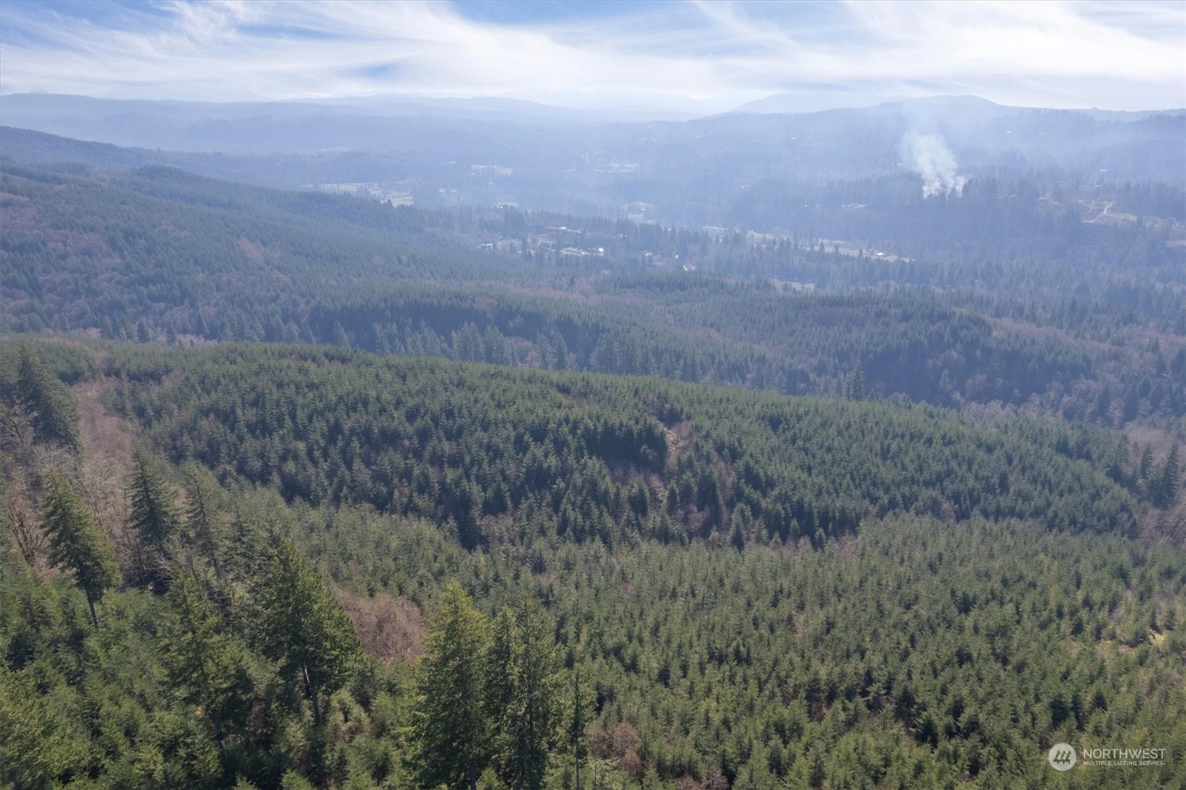 0 Northeast Cedar Mist Road Amboy, WA 98601 - Photo 5 of 17