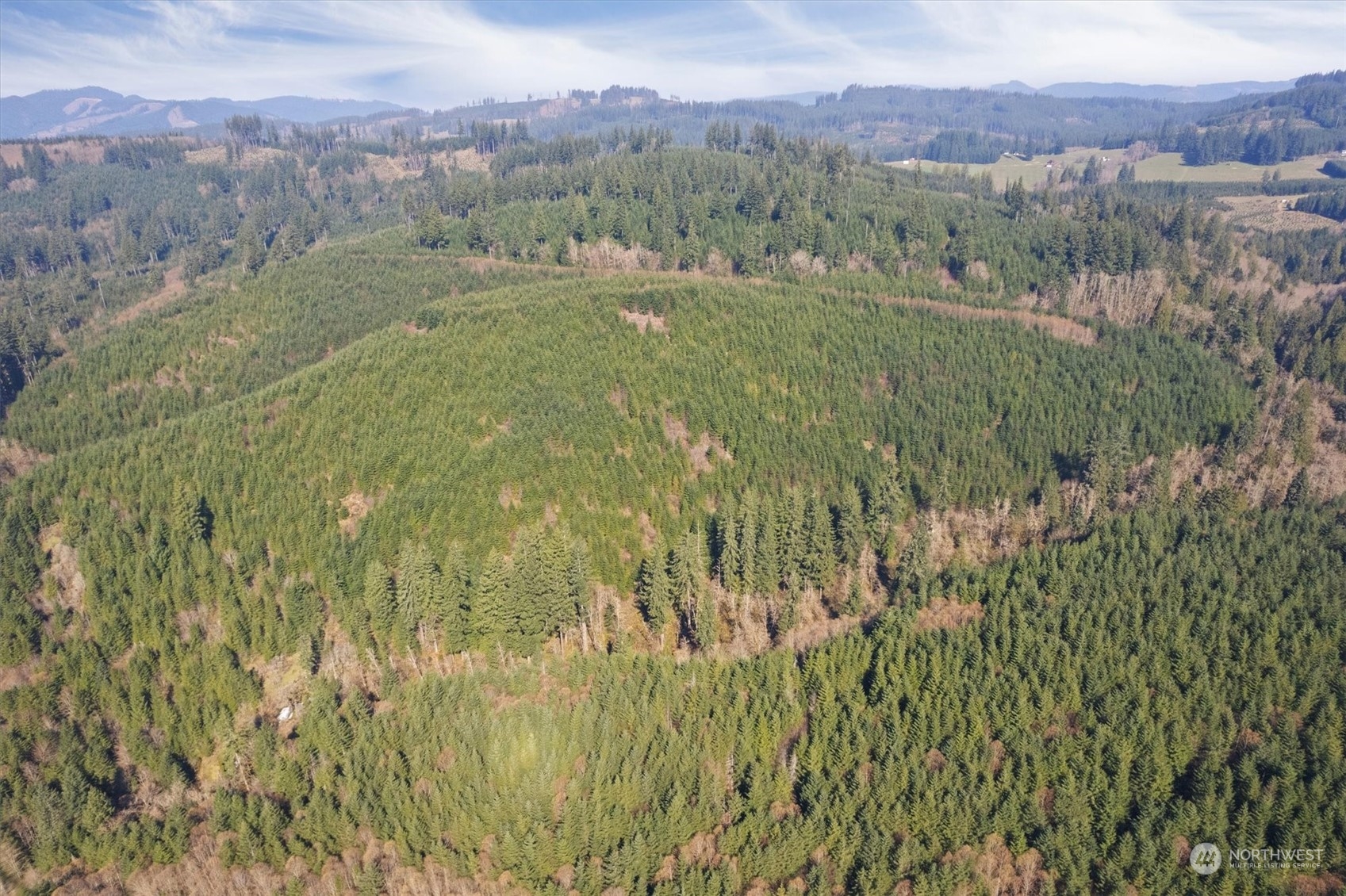 0 Northeast Cedar Mist Road Amboy, WA 98601 - Photo 6 of 17