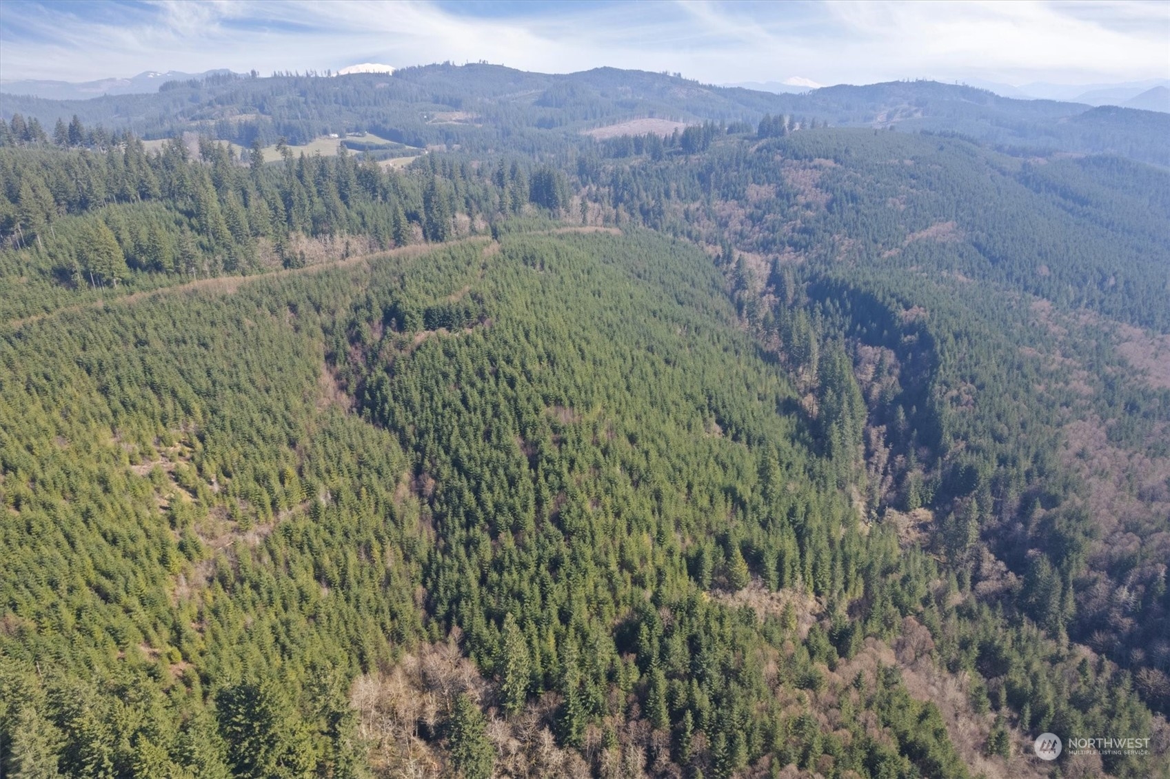 0 Northeast Cedar Mist Road Amboy, WA 98601 - Photo 7 of 17