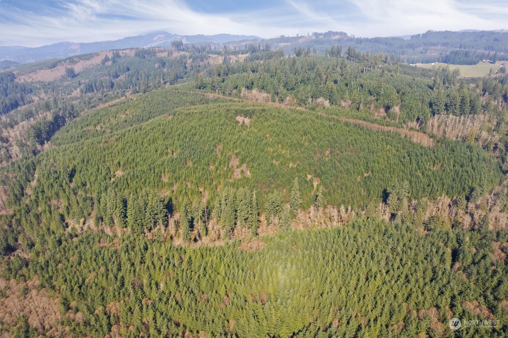 0 Northeast Cedar Mist Road Amboy, WA 98601 - Photo 8 of 17