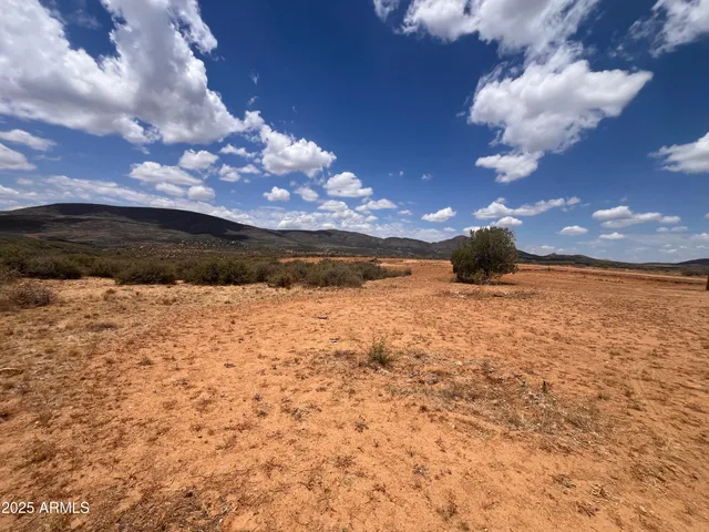 a view of a yard of the house with a yard