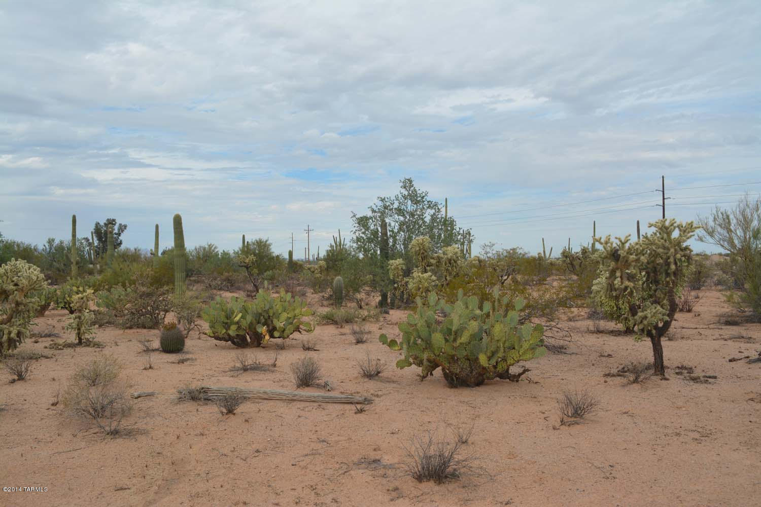 12590 West Mile Wide Road, Unit 1 Tucson, AZ 85743 - Photo 8 of 14