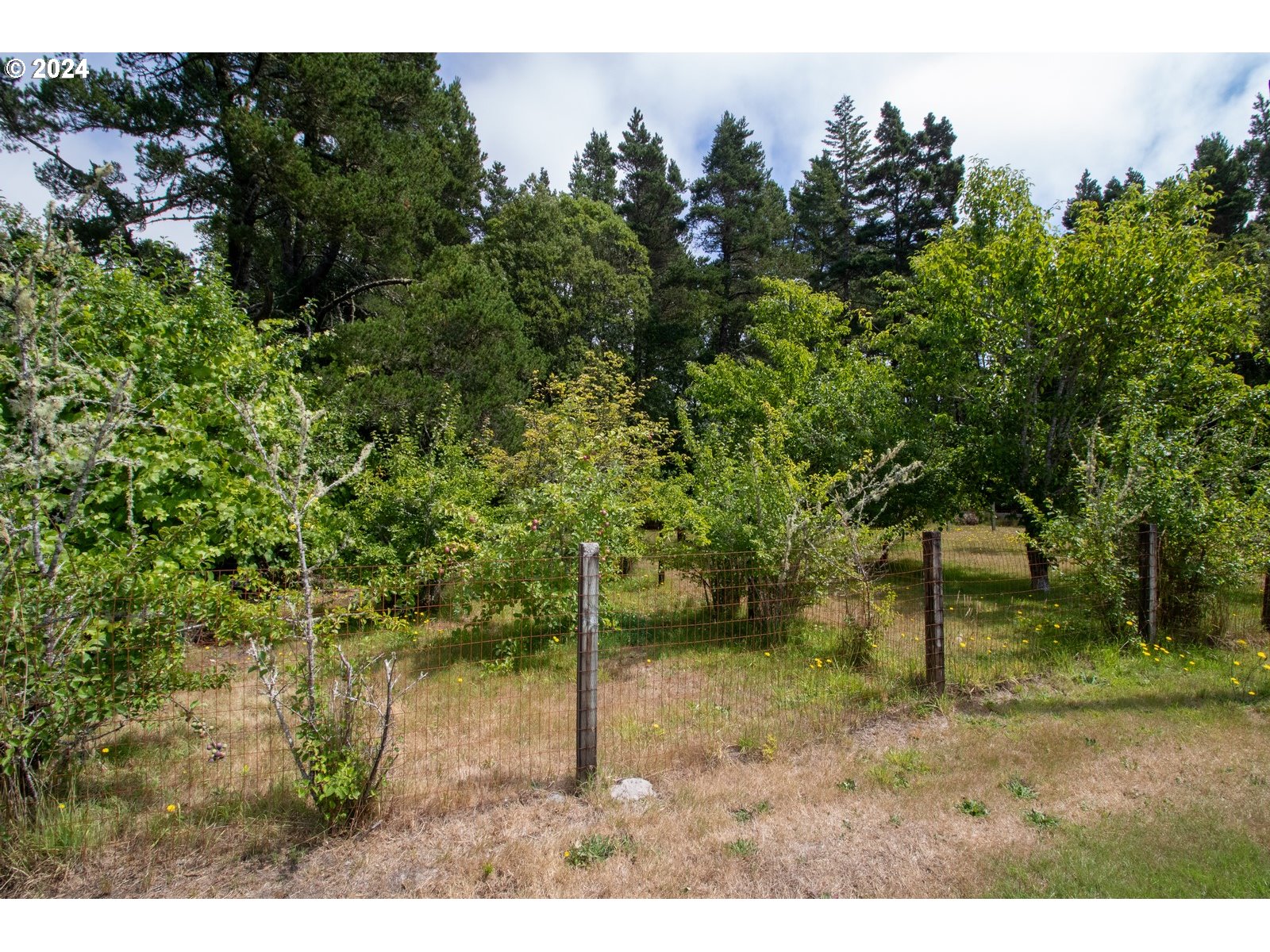 5411 Friendly Acres Road Florence, OR 97439 - Photo 34 of 36 Gallery Image 34