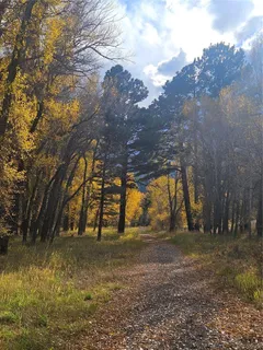 $1,850,000 | 17320 County Road 306, Buena Vista, CO 81211