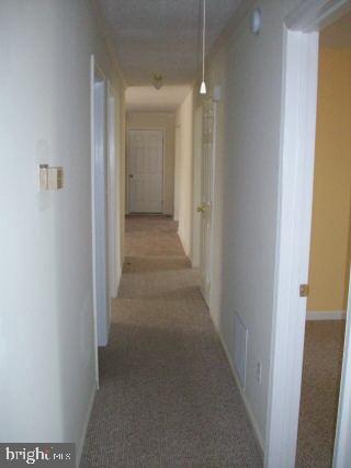 1321 Flamingo Road Salisbury, MD 21801 - Photo 3 of 7 Gallery Image 3