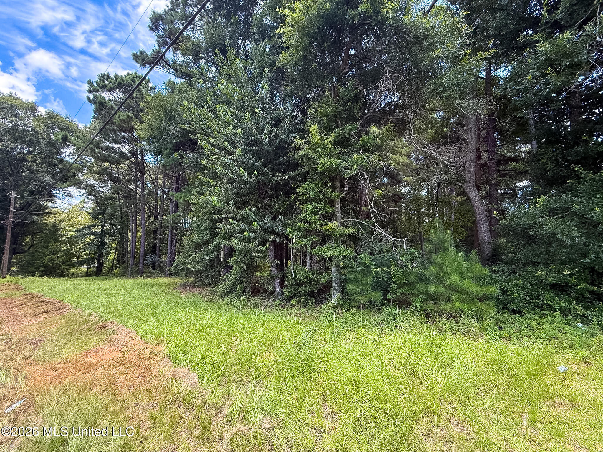 Berthadale Road McComb, MS 39648 - Photo 2 of 5 IMG_9107