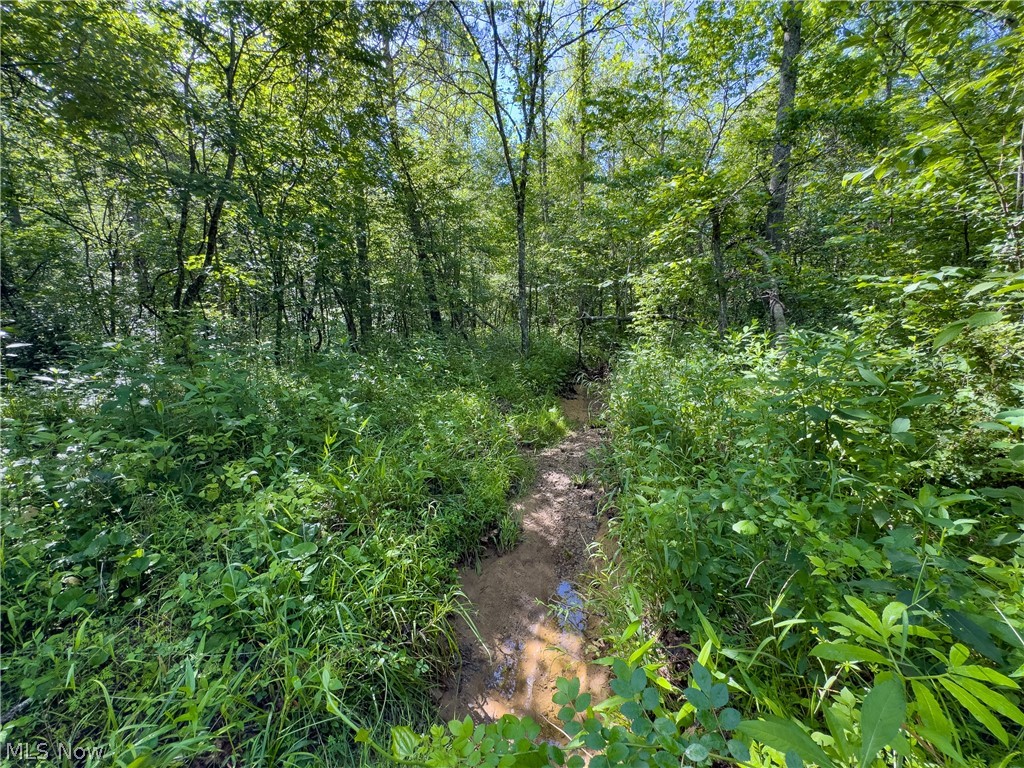 3 Jake Road Patriot, OH 45658 - Photo 7 of 15