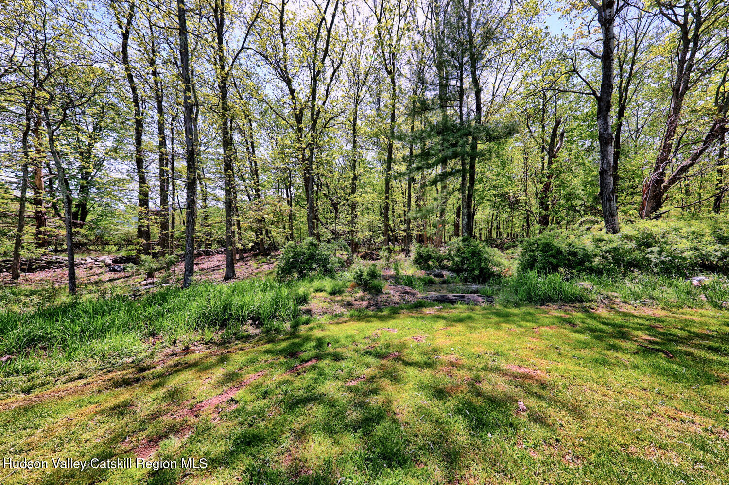 141 Jones Road Round Top, NY 12473 - Photo 53 of 70 9zq