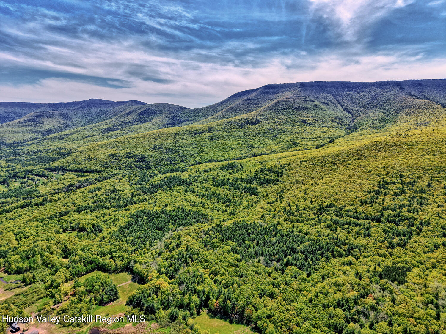 141 Jones Road Round Top, NY 12473 - Photo 63 of 70 a view of a lush green outdoor space with a lake view