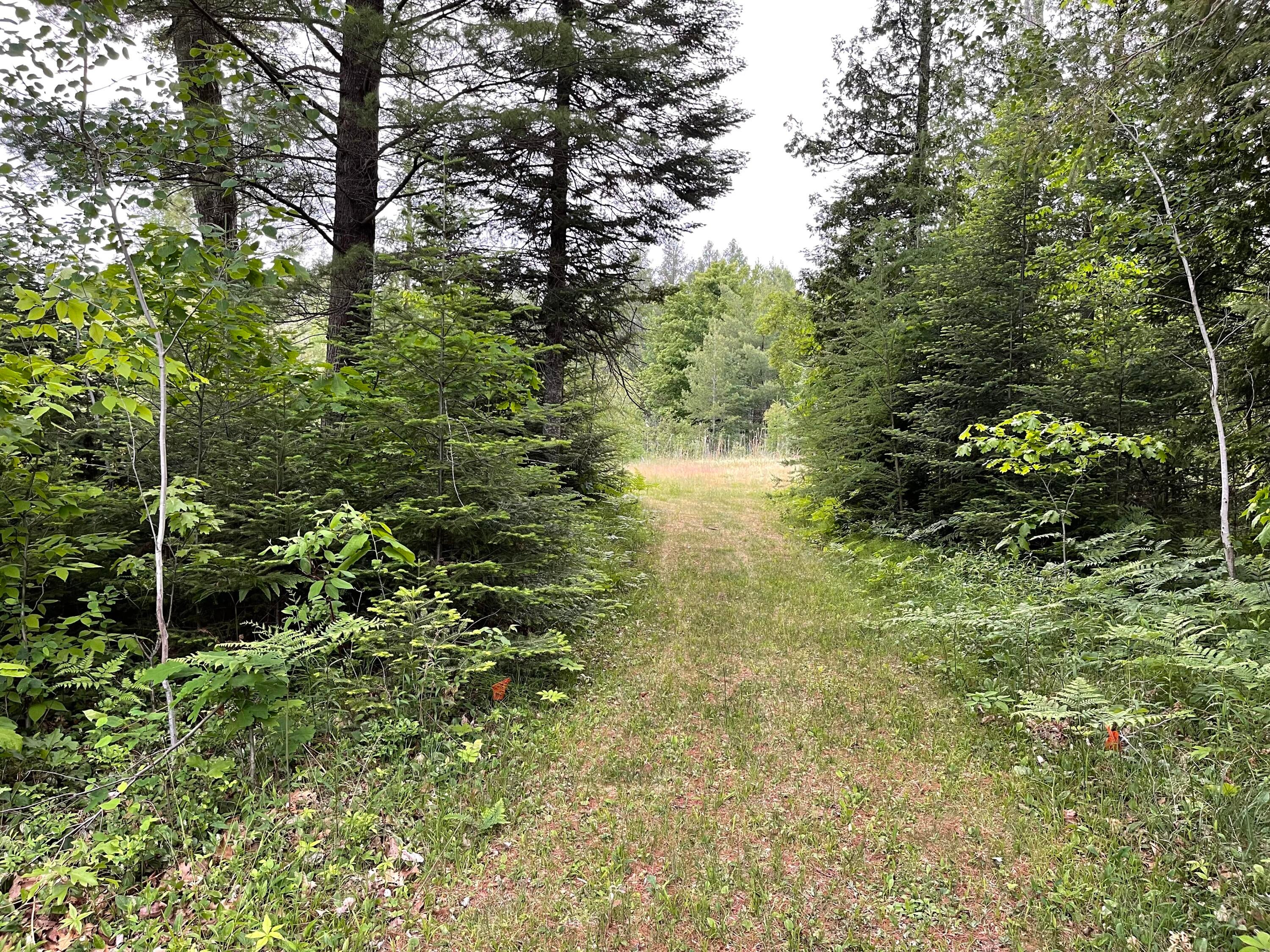 3876 South Poor Farm Road Greenbush, MI 48738 - Photo 55 of 60 Gallery Image 55