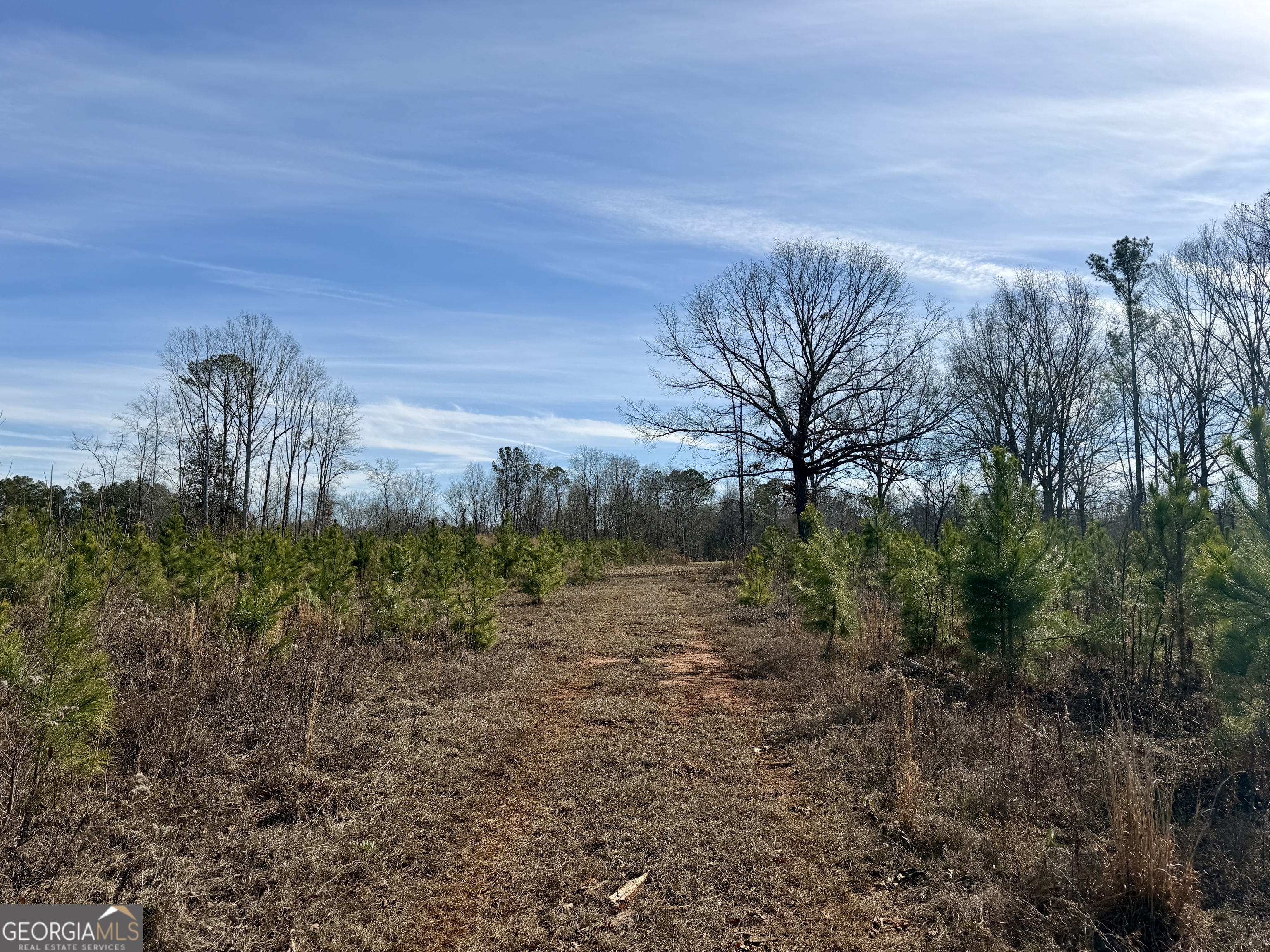 1888 Us 23 Cochran, GA 31014 - Photo 105 of 107