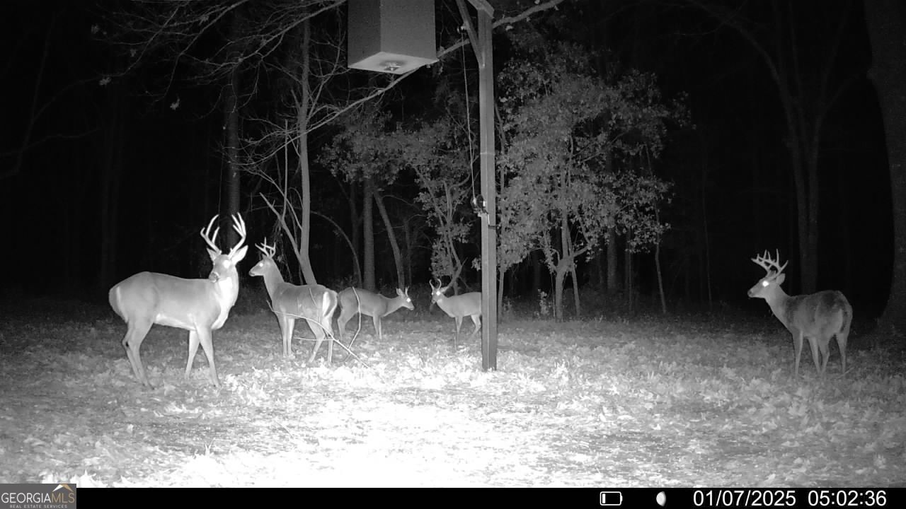 1888 Us 23 Cochran, GA 31014 - Photo 14 of 107