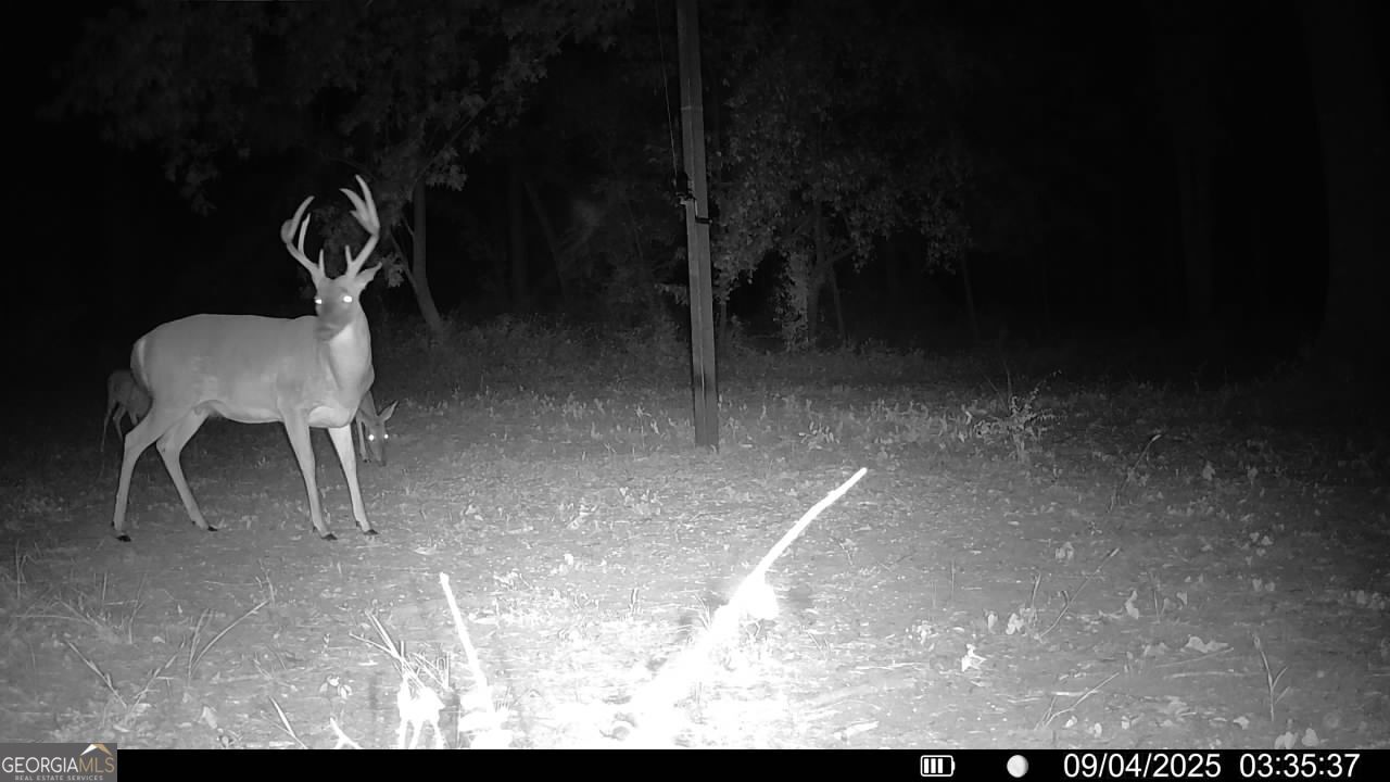 1888 Us 23 Cochran, GA 31014 - Photo 17 of 107