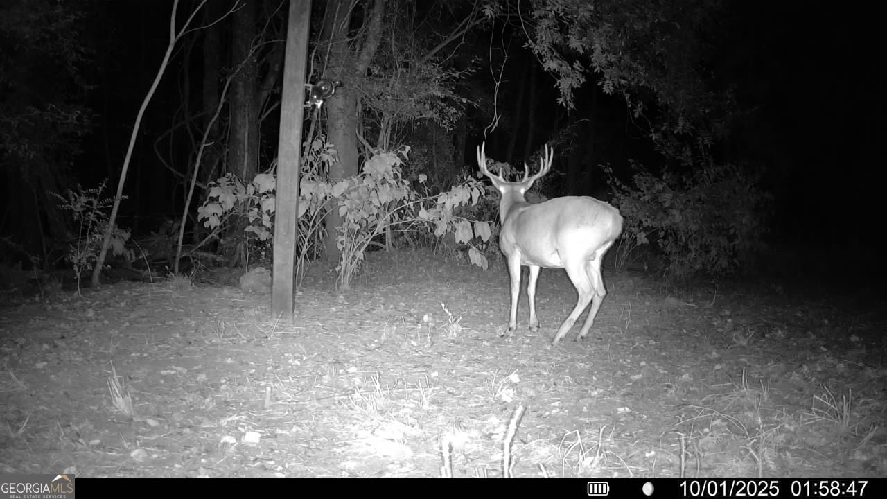 1888 Us 23 Cochran, GA 31014 - Photo 22 of 107