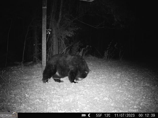 1888 Us 23 Cochran, GA 31014 - Photo 29 of 107