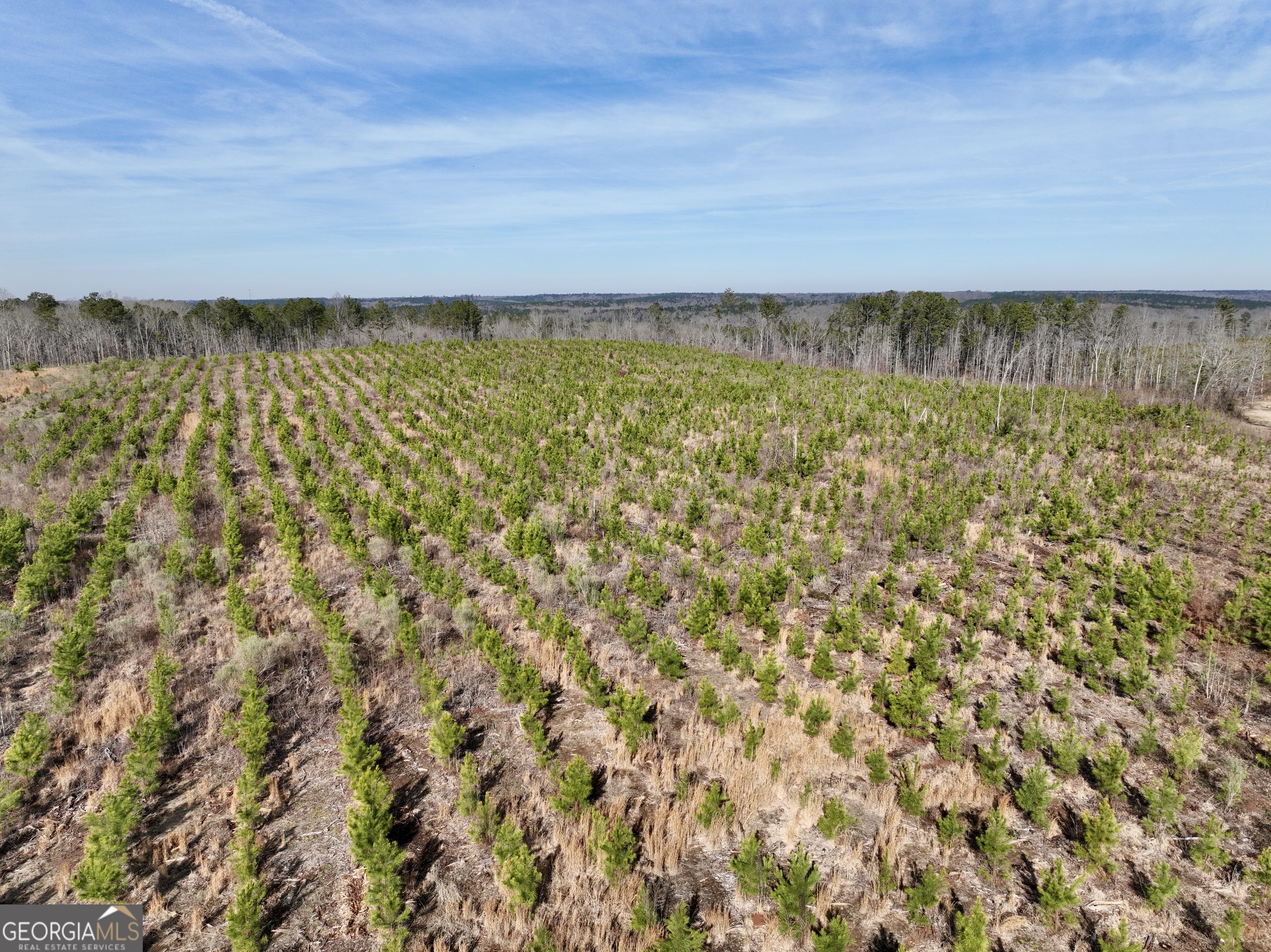 1888 Us 23 Cochran, GA 31014 - Photo 32 of 107