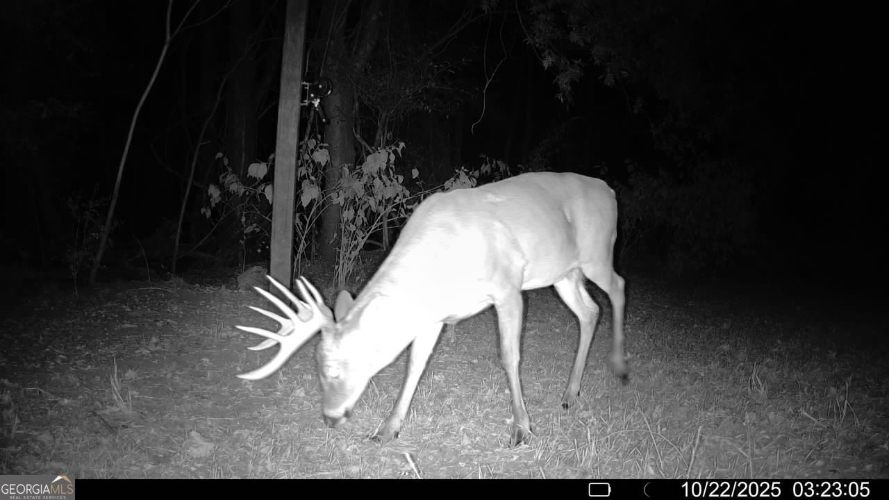 1888 Us 23 Cochran, GA 31014 - Photo 4 of 107