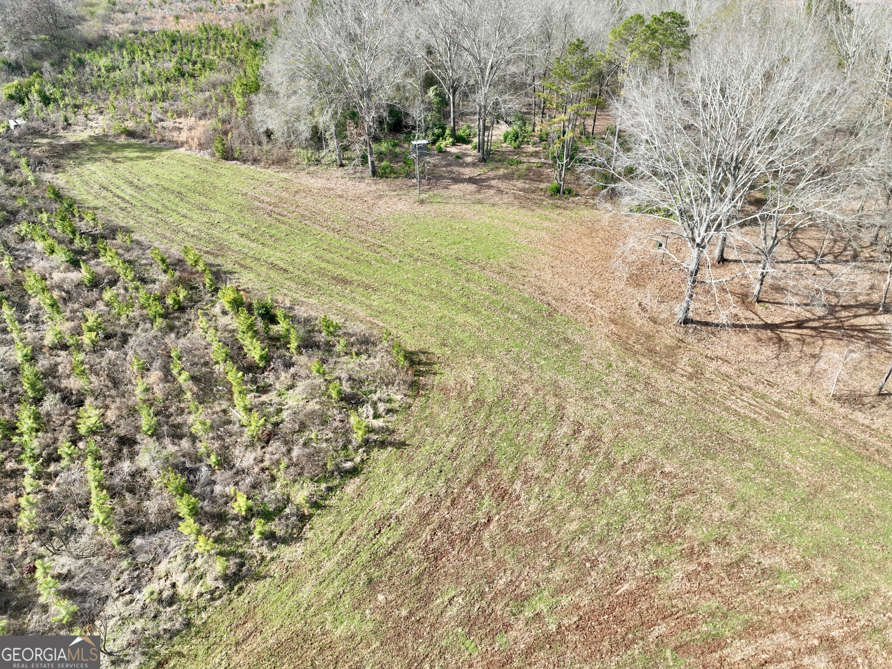 1888 Us 23 Cochran, GA 31014 - Photo 47 of 107