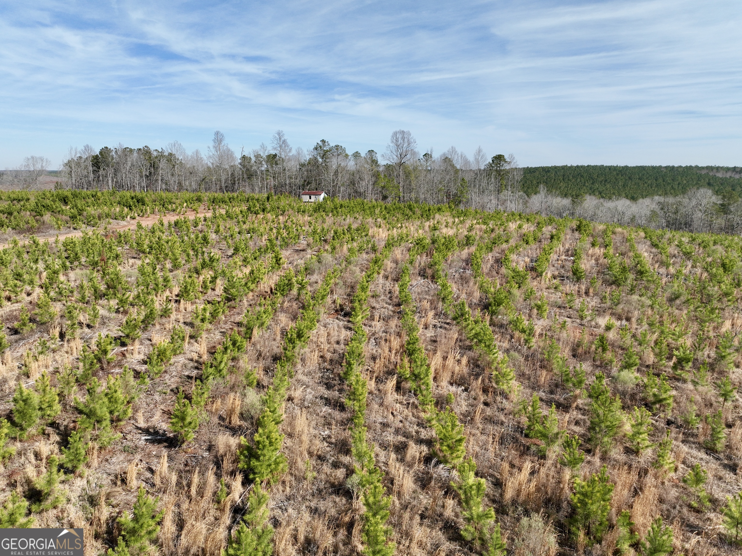 1888 Us 23 Cochran, GA 31014 - Photo 6 of 107