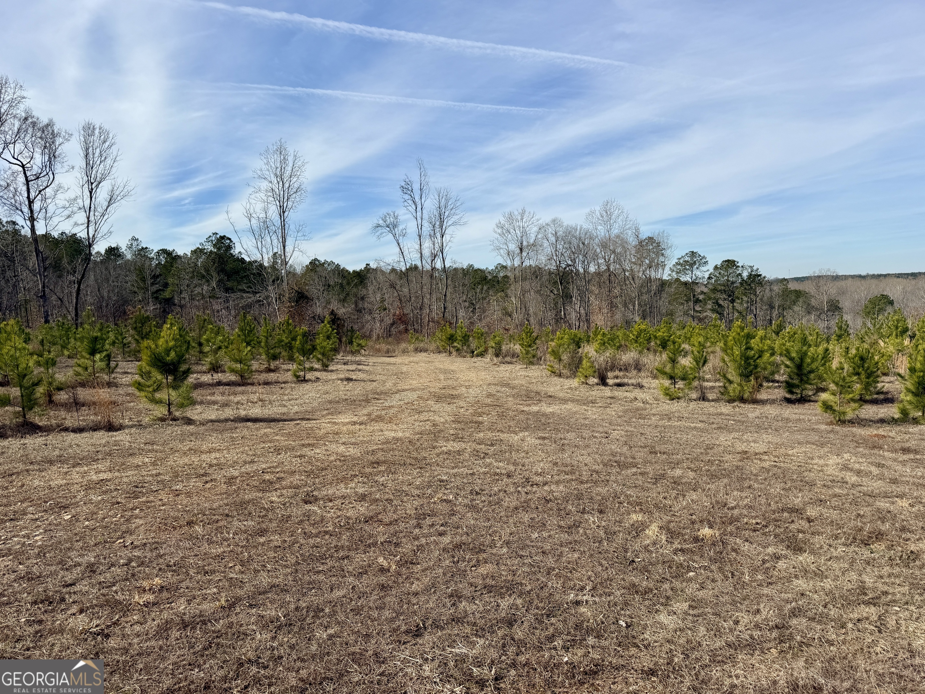 1888 Us 23 Cochran, GA 31014 - Photo 76 of 107