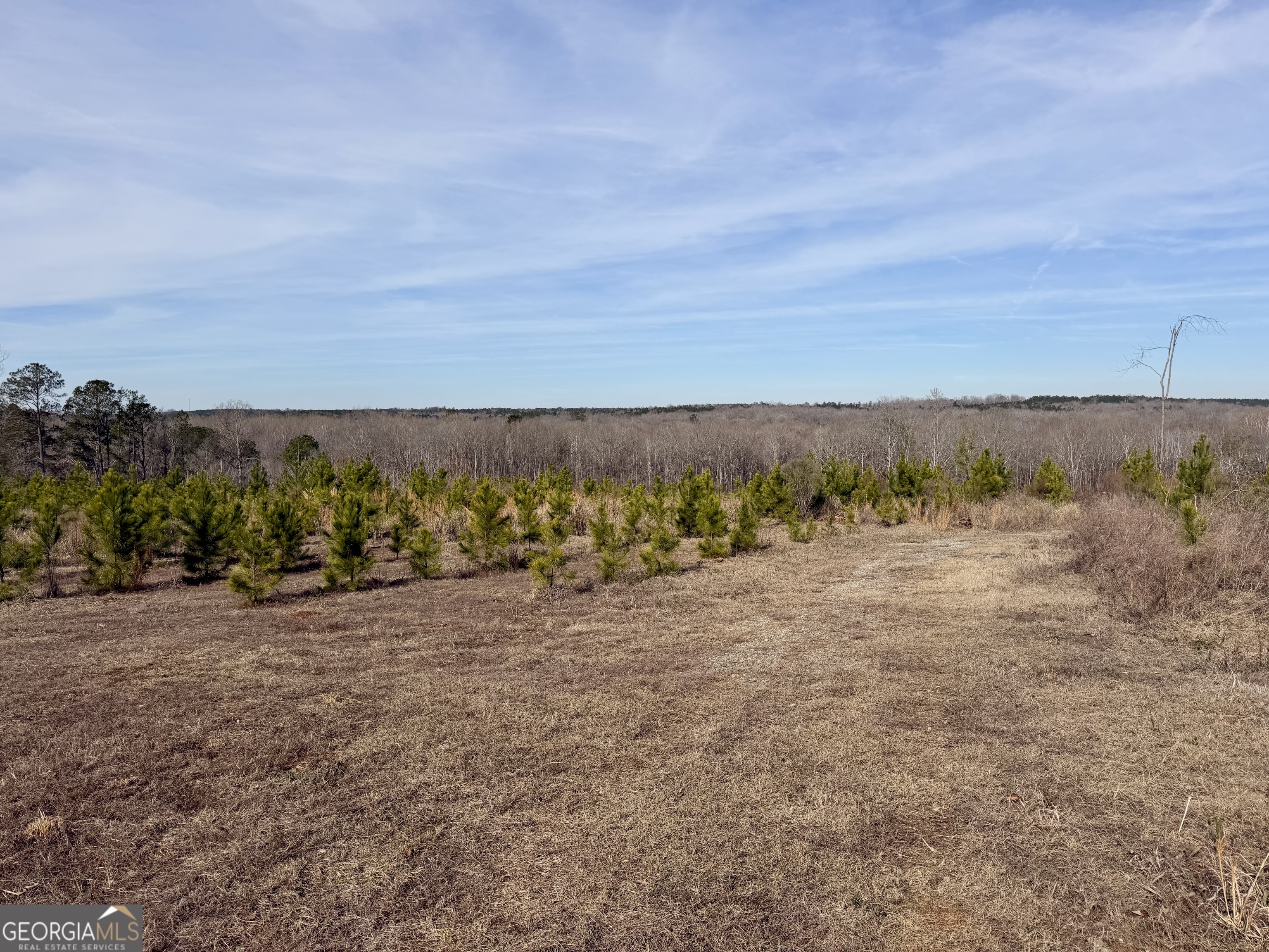 1888 Us 23 Cochran, GA 31014 - Photo 77 of 107