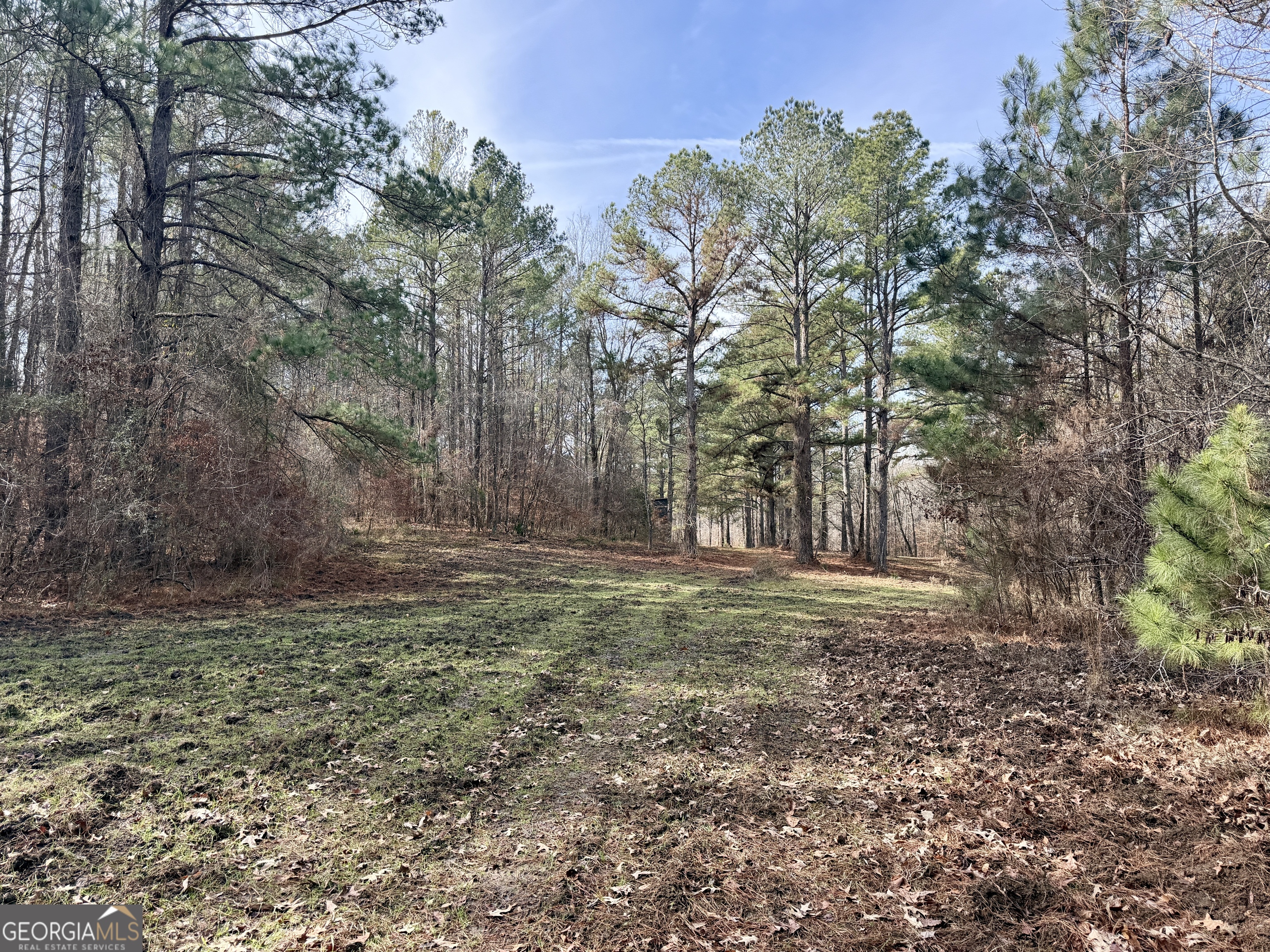 1888 Us 23 Cochran, GA 31014 - Photo 80 of 107