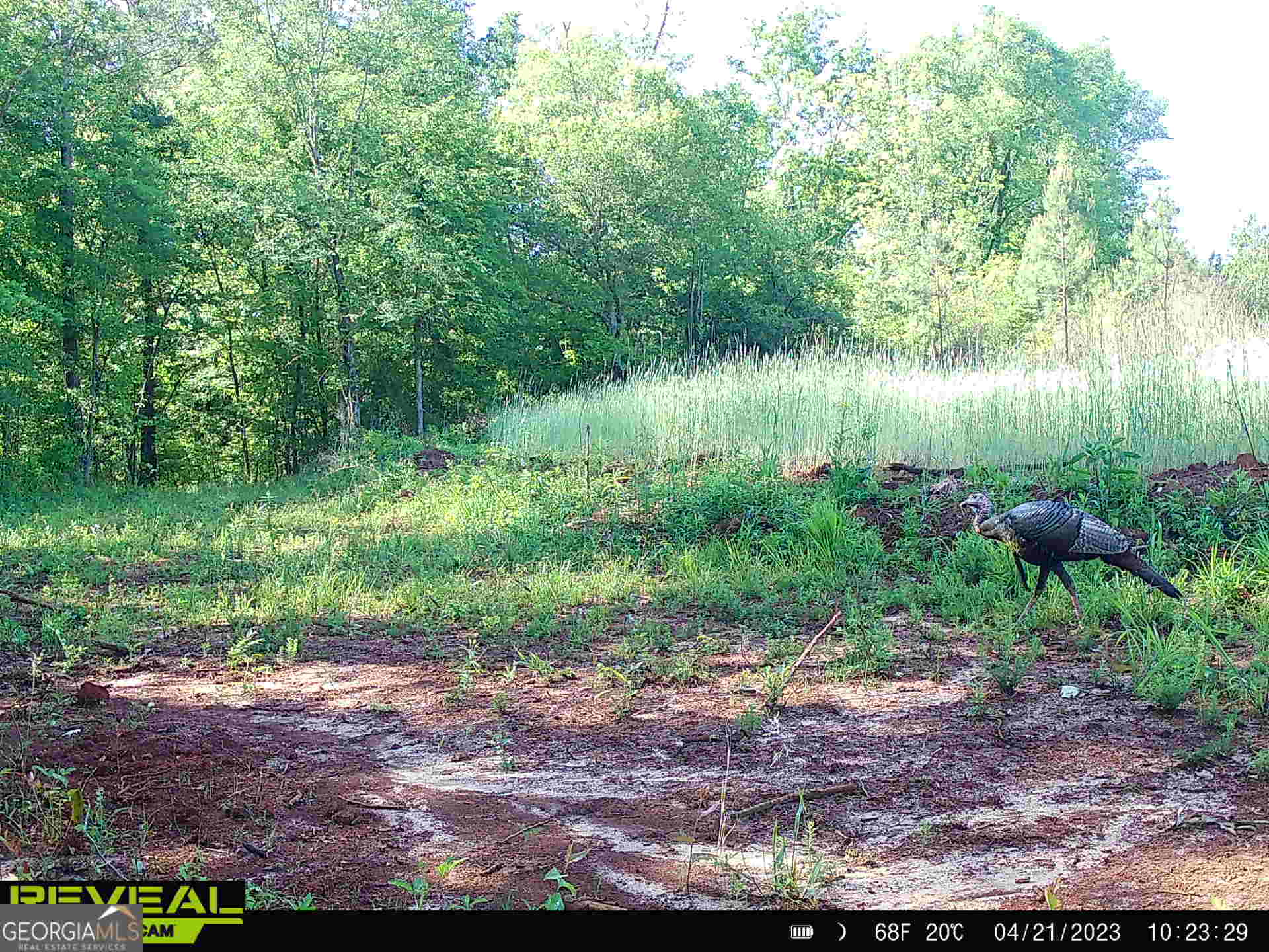 1888 Us 23 Cochran, GA 31014 - Photo 8 of 107