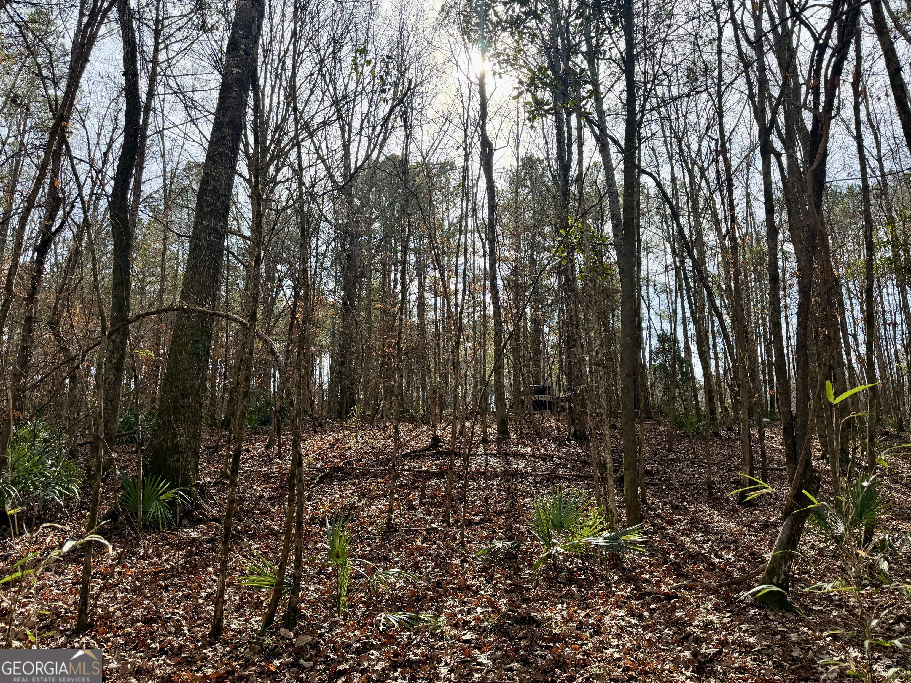 1888 Us 23 Cochran, GA 31014 - Photo 82 of 107