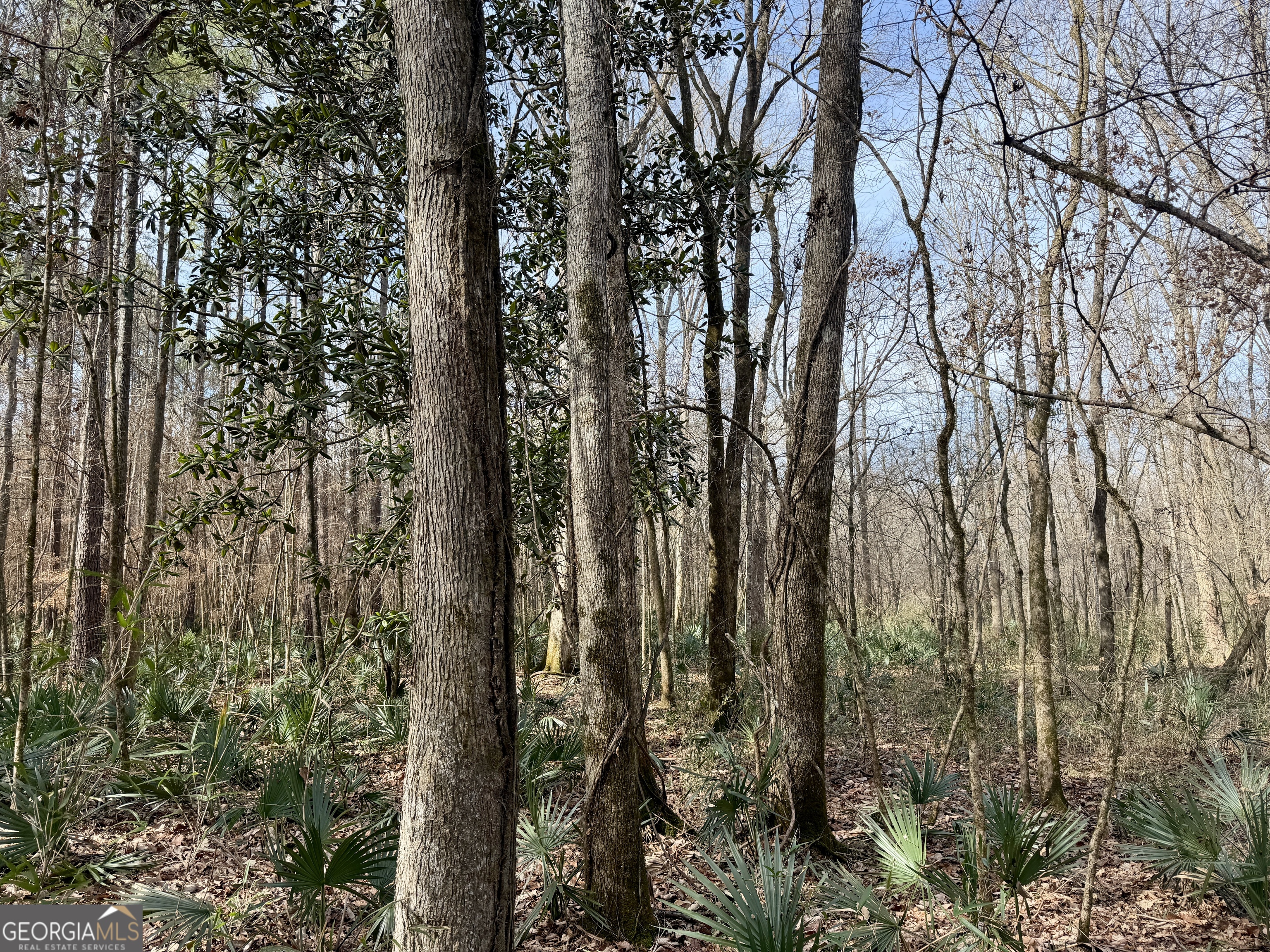 1888 Us 23 Cochran, GA 31014 - Photo 83 of 107